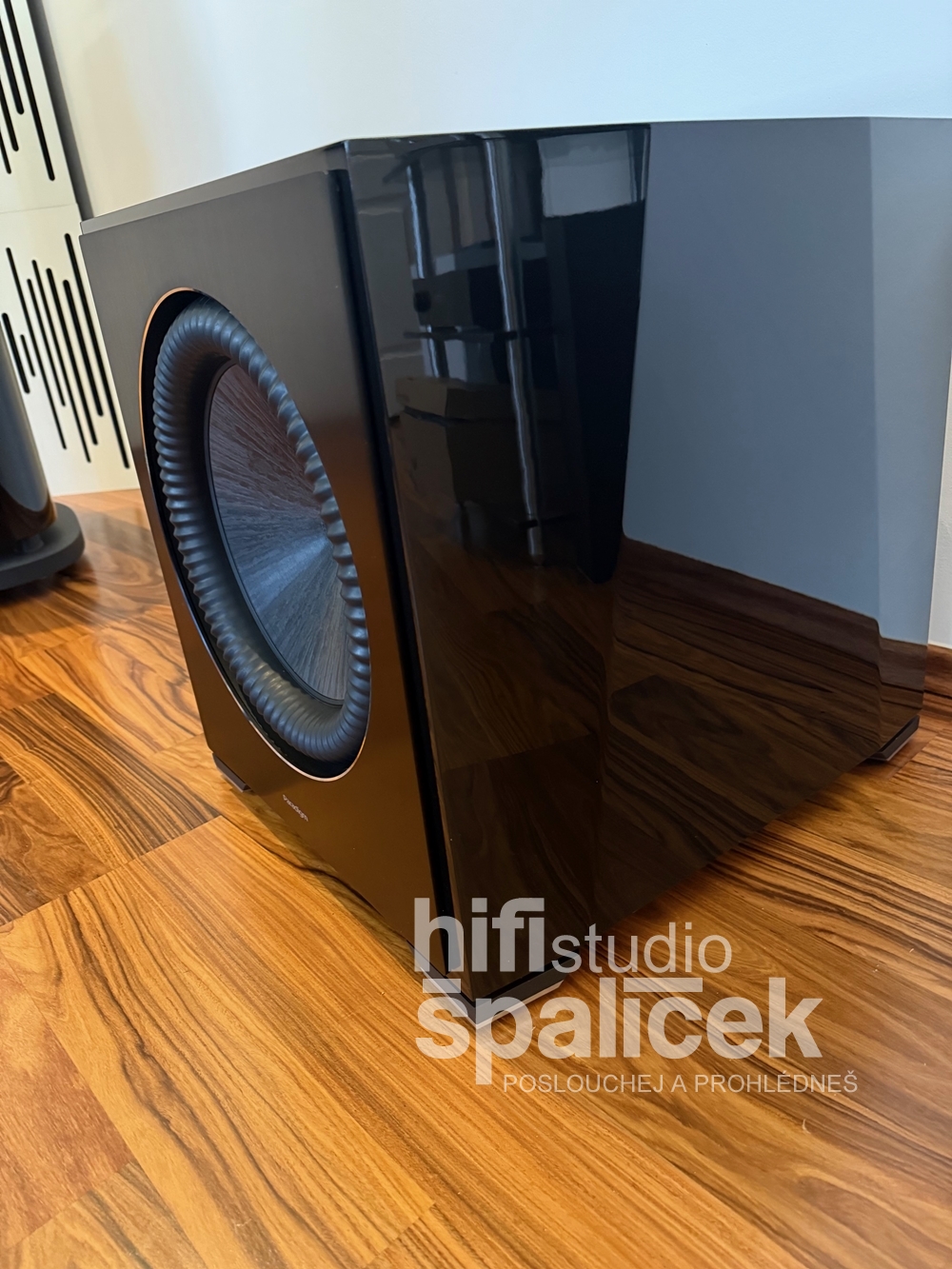 Paradigm XR 13