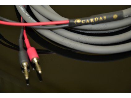 Cardas 101 Speaker