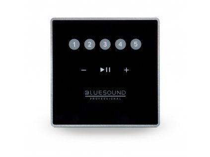 bluesound professional cp100 ie100016367