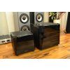 GoldenEar SuperSub 54
