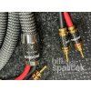 Ricable invictus speaker 3