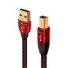 audioquest cinnamon usb a na b (1)