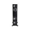 paradigm premier 820f cerny orech image1 big ies100982350